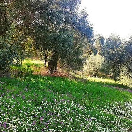 Holiday home Villart Eleni *