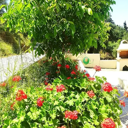 Holiday home Villart Eleni Corfu (city)